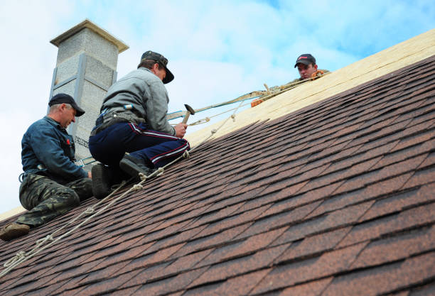Best New Roof Installation  in Benson, MN